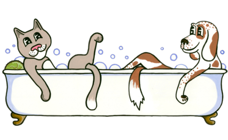 Toilettage à domicile pour chiens et chats